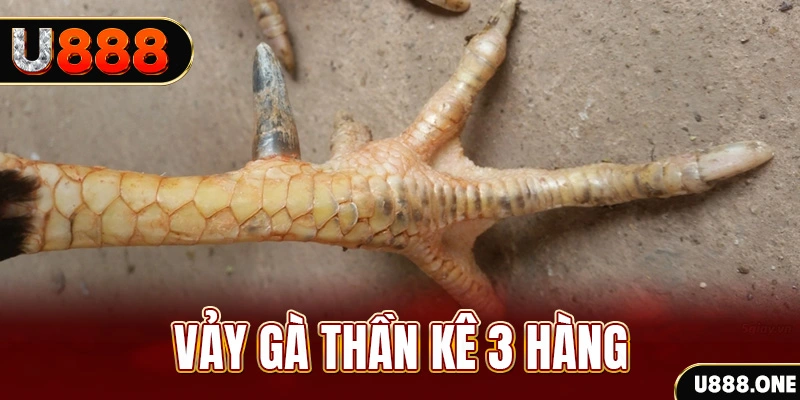 nwe88 nổ hũ đổi thưởng . ai