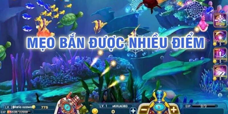 nwe88 đá gà