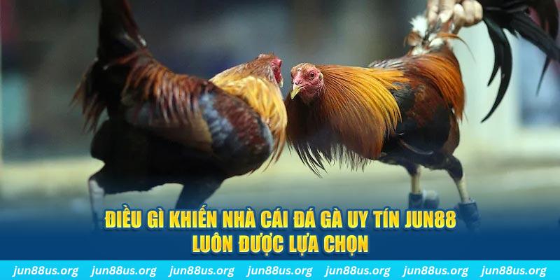 nwe88 bắn cá 30
