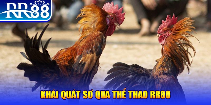 nwe88 nổ hũ là như thế nào