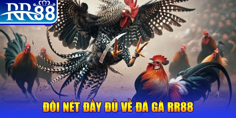 nwe88 1 slot là gì