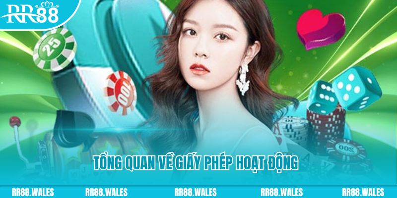 nwe88 kết quả xổ số kiến thiết miền bắc