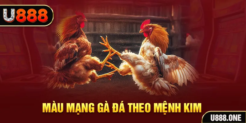nwe88 gà chọi tiêu phong