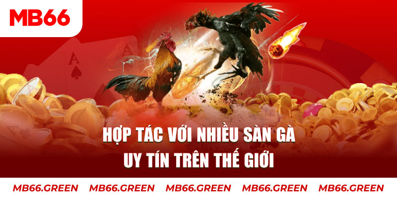 nwe88 nổ hủ chơi như thế nào