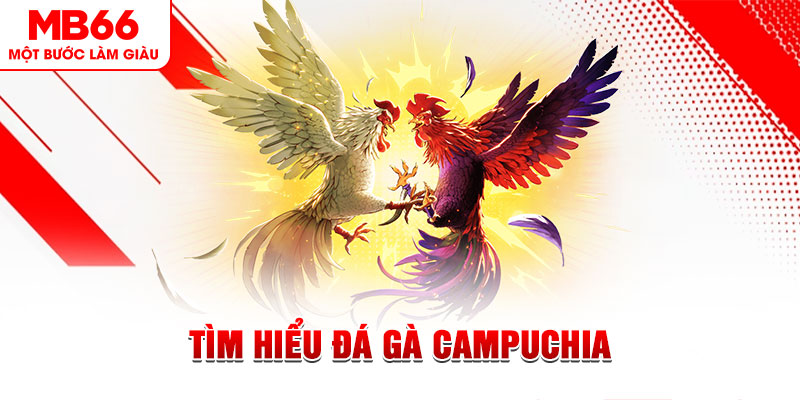 nwe88 tại sao không tải được nổ hũ