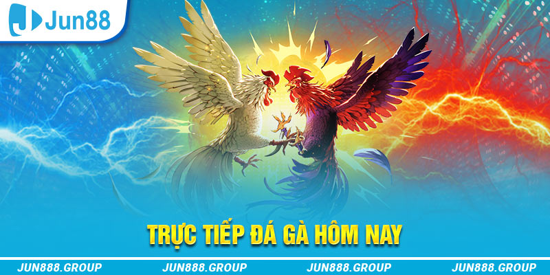 nwe88 68 game bài máy chủ ở đâu