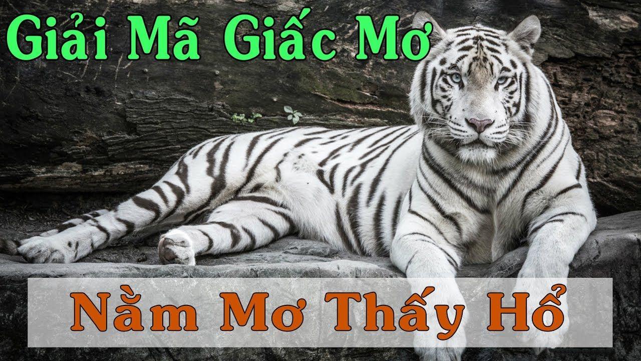 nwe88 xổ số miền trung