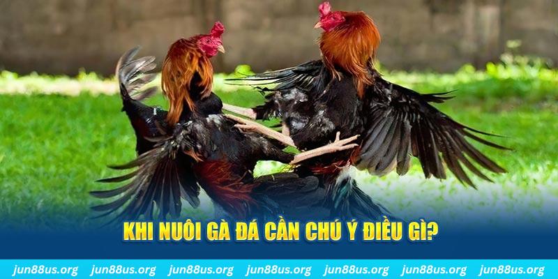 nwe88 ban ca vip online