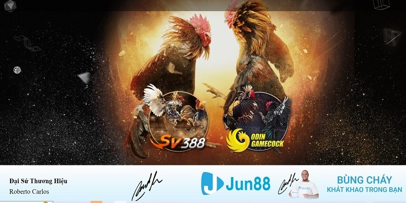 nwe88 xổ số miền nam hàng tuần