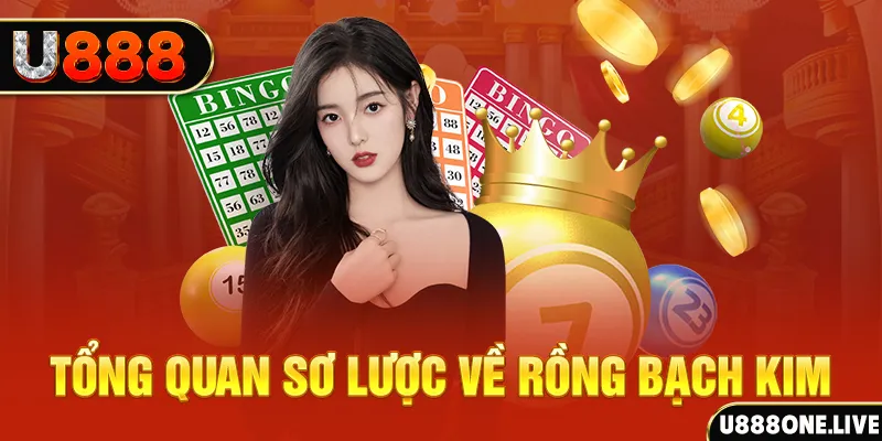 nwe88 how to win at slot machines