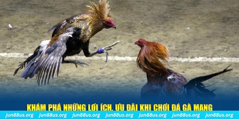 nwe88 Tài Xỉu 2