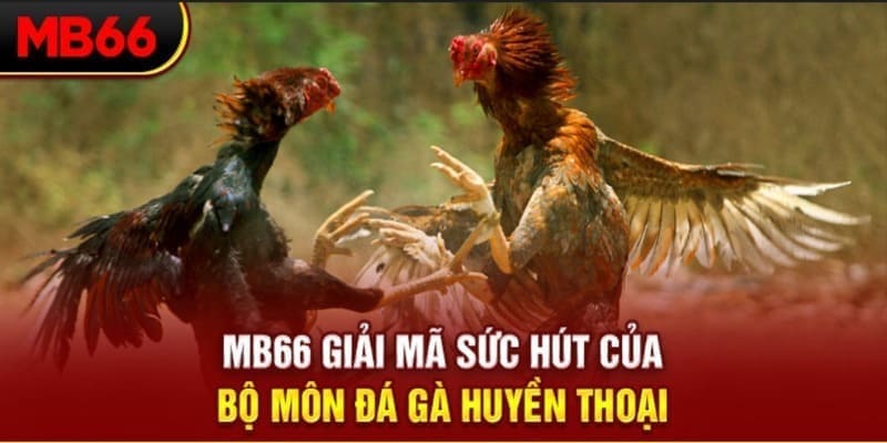 nwe88 long bảo trong baccarat là gì