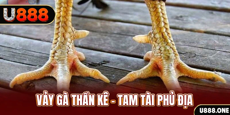 nwe88 xổ số 30 ngày