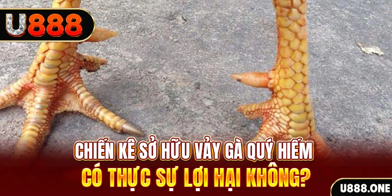 nwe88 game cá cược máy bay