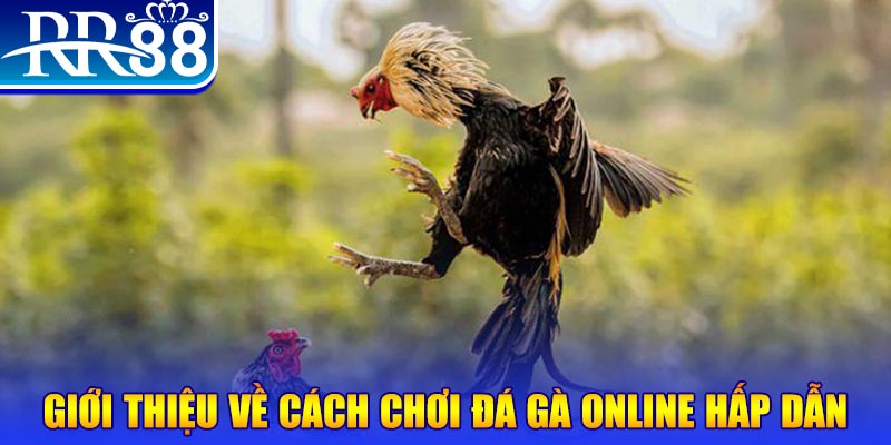 nwe88 nổ hũ 2 mặt là gì