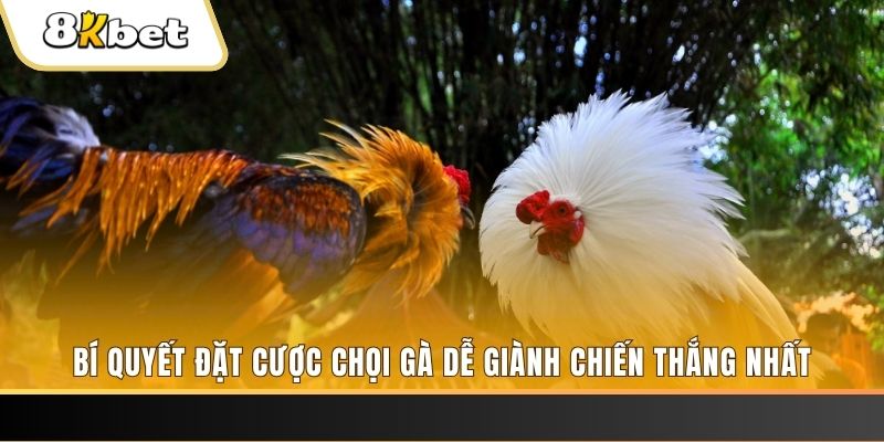 nwe88 may club nổ hũ
