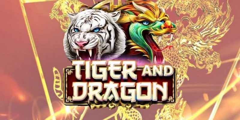 nwe88 cá cược tiếng anh là gì