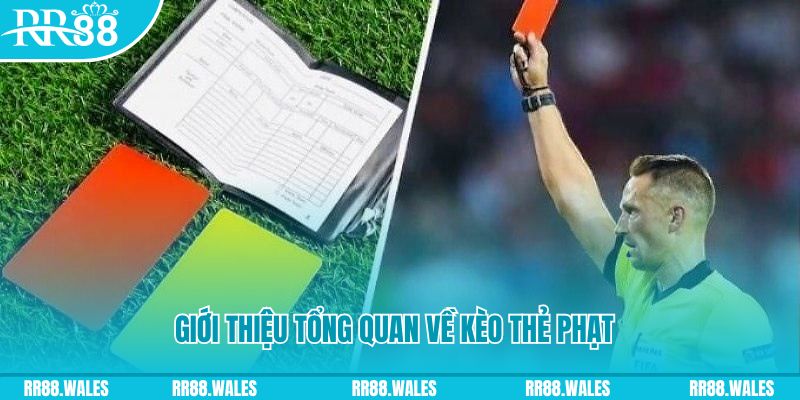 nwe88 đá gà trực tiếp c1
