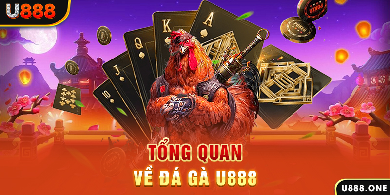 nwe88 what is casino bonus wagering